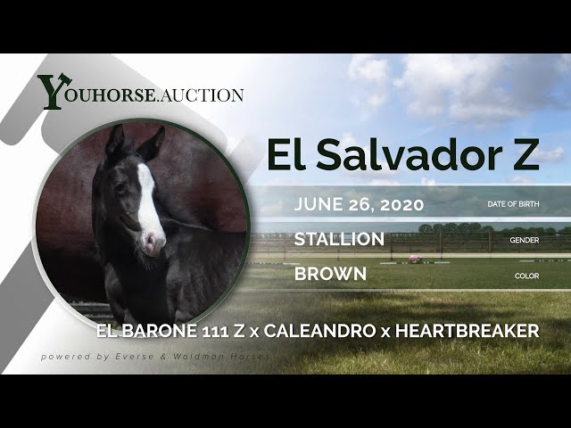 El Salvador Z