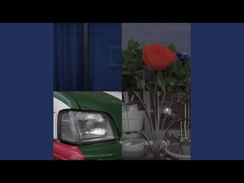 The Legend of Pine Forest