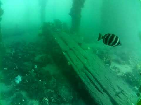 Edithburgh Live by AusOcean 12/09/2023