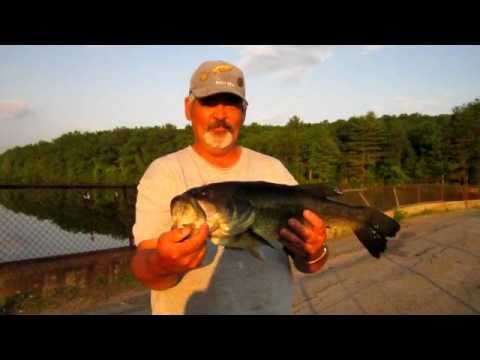 5bls 22'' Large Mouth Bass