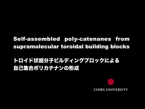 トロイド状超分子ビルディングブロックによる自己集合ポリカテナンの形成