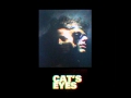 Cat's Eyes - I'm Not Stupid (Instrumental) 