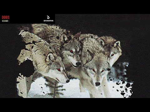 KSHMR - Dogs (feat. Luciana) (HQ Download Link)