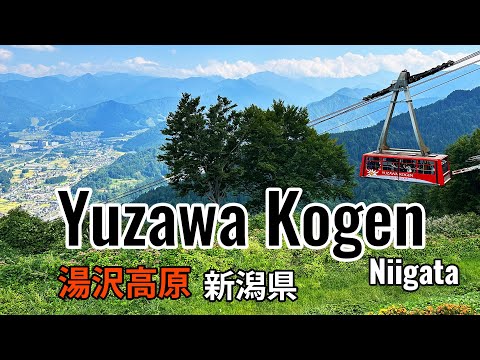 Yuzawa Kogen day trip to Niigata Japan | Niigata summer | 湯沢高原 新潟県