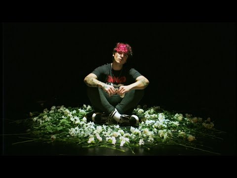 Noan - No me pidas perdón (Videoclip Oficial)