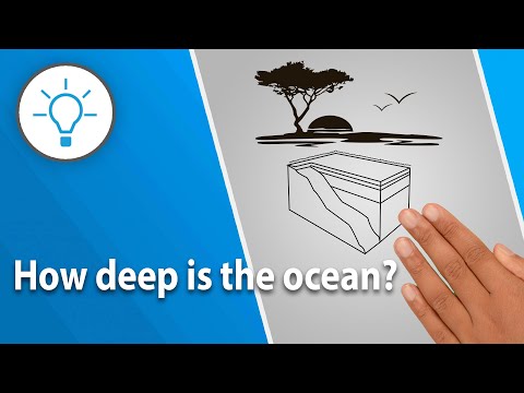 Explainer Whiteboard