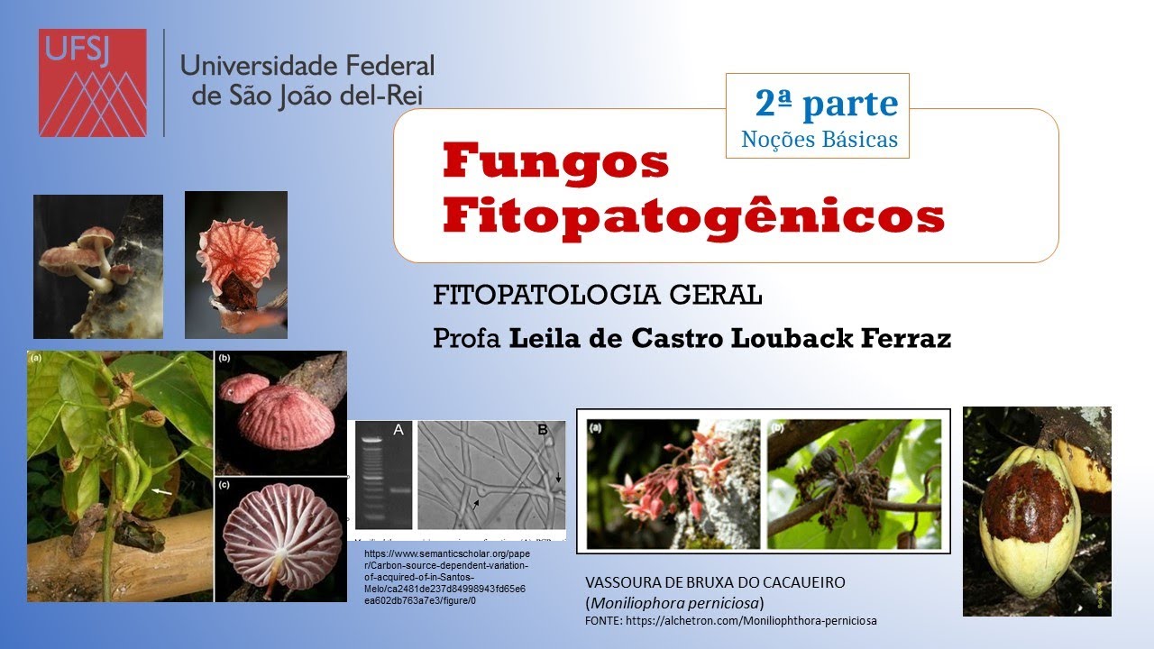 FUNGOS - Noções básicas (2a parte) (FITOPATOLOGIA - UFSJ)