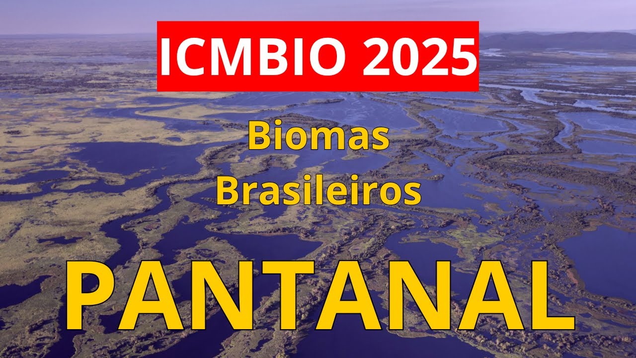 ICMBIO 2024 - Biomas Brasileiros: Aula 06 - Pantanal