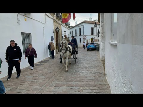 What to see in Córdoba, Spain 🇪🇸, in one day?