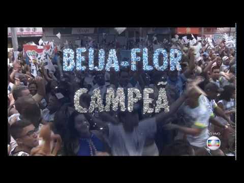 Beija Flor Campeã do carnaval 2018 RJ