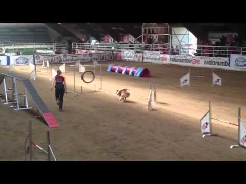 Juice Gamblers IFCS WAC 2015