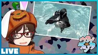 珍しく夏季休暇を取って観光してた話 - ゲーム に関するアレヤコレヤを興味のある範囲で話していく #ウタゲラジヲ 2026.08.15