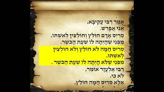 משניות יבמות פרק  ח משנה ד