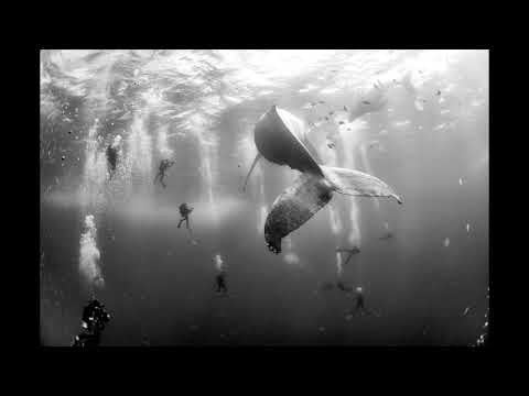 John 00 Fleming - Looking Back. To Look Forward. (Original Mix)