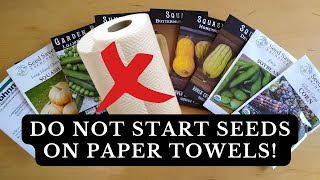 DON’T Start Seeds On Paper Towels – DO THIS INSTEAD