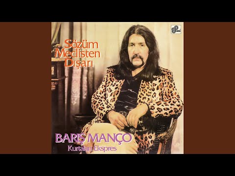 Barış Manço - Arkadaşım Eşşek cover