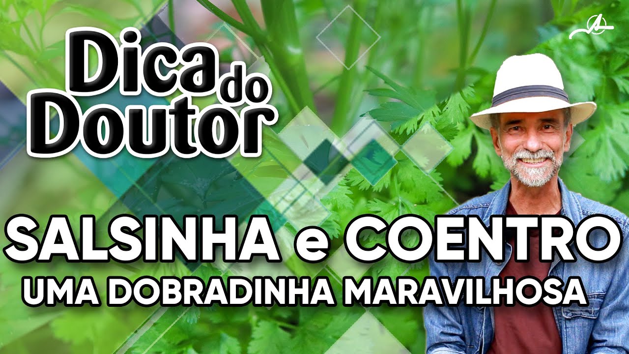 Dica do Doutor #110 - Salsinha e coentro, uma dobradinha maravilhosa