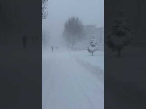 Ardahan'da Yoğun Kar Yağışı #shorts