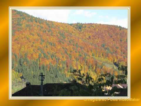 Dragoslavele sat de munte