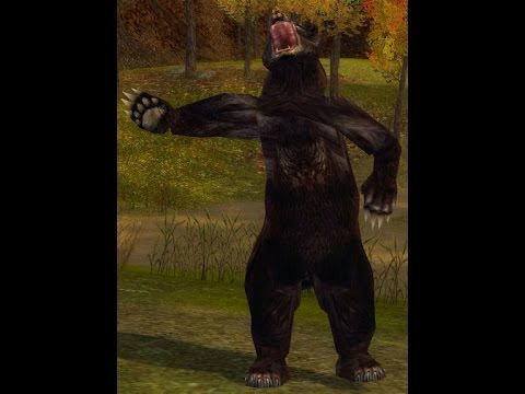 Guild Wars - Charm Black Bear in pre Searing (Any/R) [2man] *NERFED*