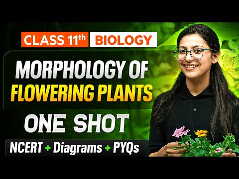 Morphology Of Flowering Plants Class 11 One Shot 🔥| NCERT + Diagrams + PYQs | Chapter 5