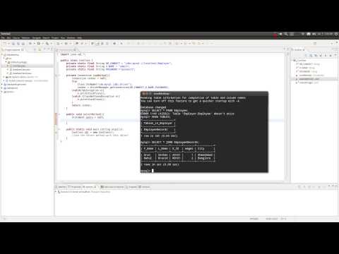 Learn Java In Hindi 60 Jdbc Part 2 The Java Program