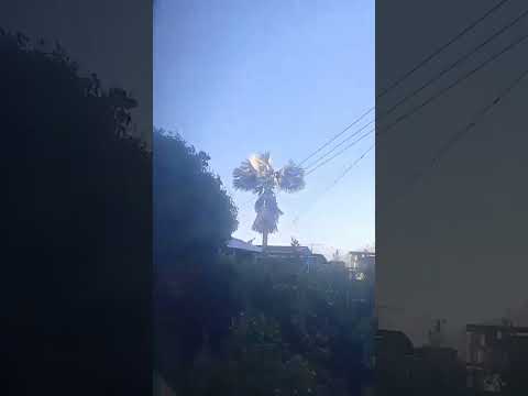 Saliendo de Ibagué, Tolima a Cali, Valle del Cauca en Expreso Brasilia 