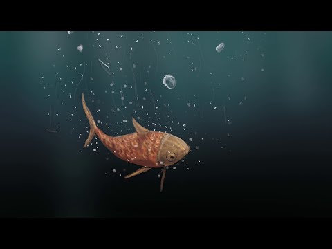 download lagu mp3 mp4 Benoit Lecomte, download lagu Benoit Lecomte gratis, unduh video klip Download Benoit Lecomte Mp3 dan Mp4 Full Gratis