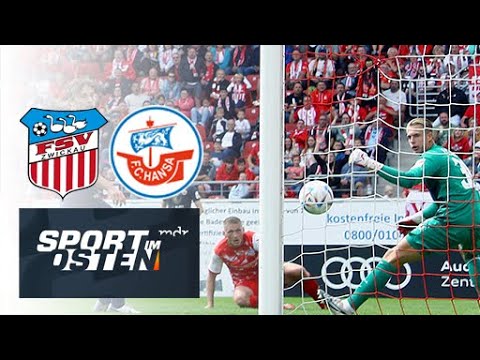 Zimmermann sei Dank – Dezimierter FSV Zwickau schlägt Hansa-Nachwuchs | Sport im Osten | MDR