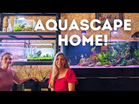 5ft Planted Aquarium and Nano Aquascapes! Fishroom Tour