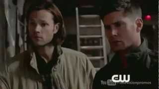 8.14 - Promo