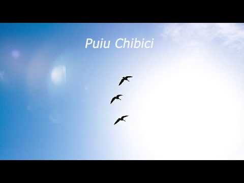 PUIU CHIBICI - SA TE ASCULTE DOMNUL
