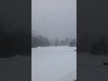 Big Snowflakes Today
