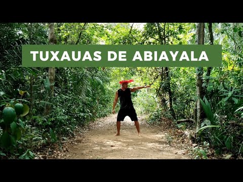 Tuxauas de Abyaiala - Boi Garantido