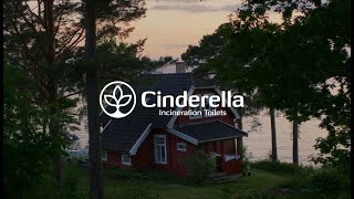 Video 1 trigger image