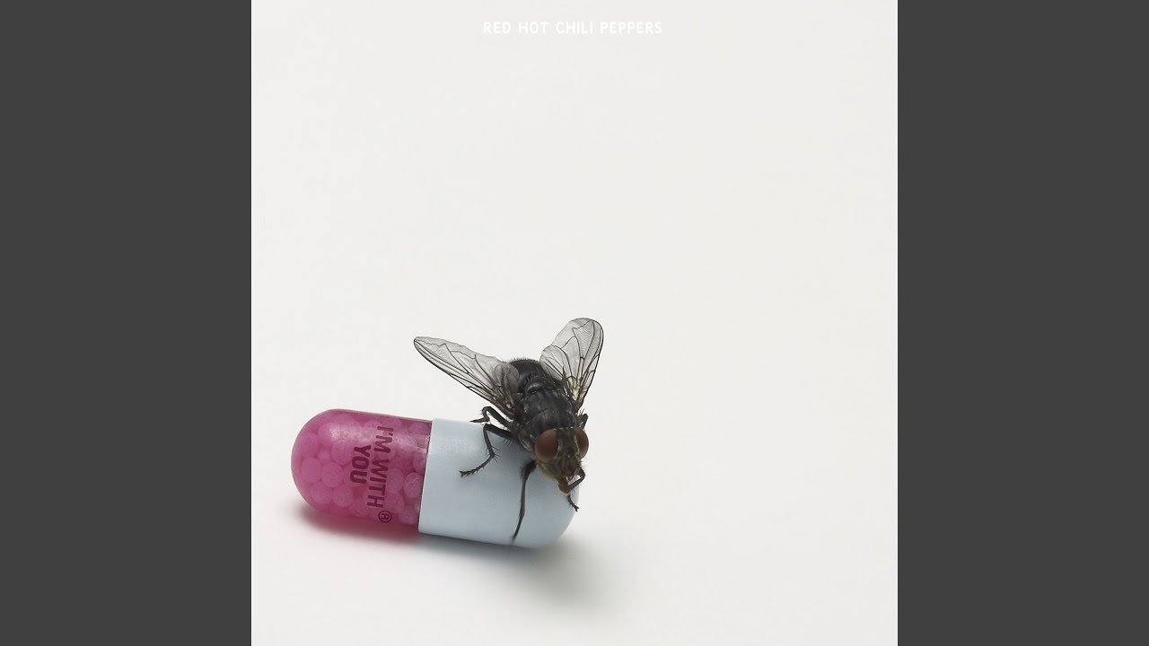 Red Hot Chili Peppers - Did I Let You Know