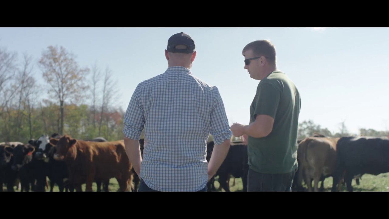 Before The Plate Official Trailer #1 (2018)