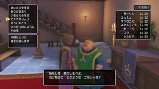 ドラクエ11　プレイ垂れ流し　はなのみやこ～