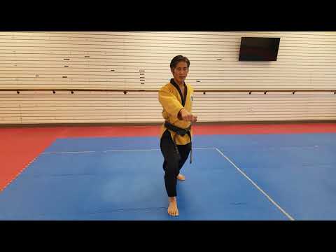 TaeKwondo Basic Form 1- White Belt Form  기본 1장