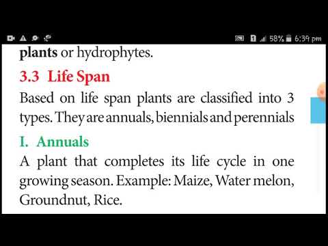 Vegetative morphology