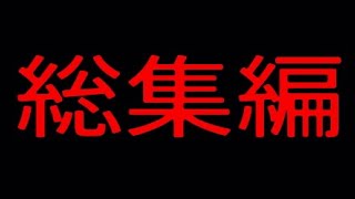 （音量注意）１ヶ月ハイテンション実況生活総集編！
