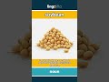 soybean (noun) - definition and usage in English