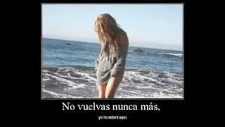 Maldita estupidez - Lu