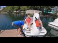 Swan Boats At Lake Eola In Orlando We Love Florida