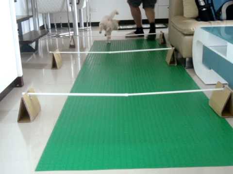 饅頭體能課(原發表者:JeffreyTsai)(影片)