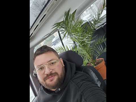 Losó Balázs - Tavaszi kocsiba bömböltetős mix 🥹🔊