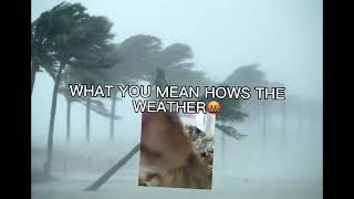 Breaking News Category 8 Hurricane hits Flordia