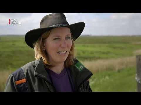 Mijn Mooiste Plek: Weidevogelgebied bij Arkenheem - za 6 jul 2019, 17.25 uur [RTV Utrecht]