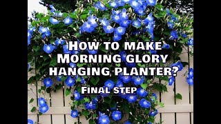 How To Make Morning Glory Hanging Planters?|| Final Step || Whimsy Crafter