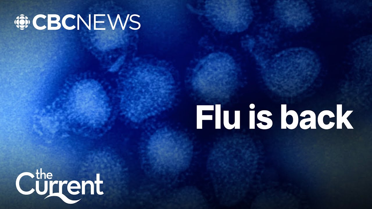 Flu season is here: What you need to know | The Current